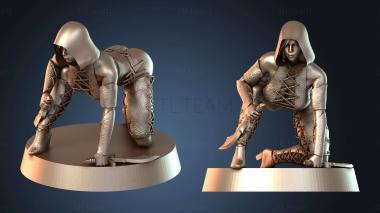 3D model Assassin (STL)