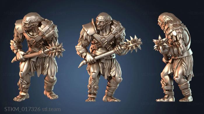 Assault Orc Lieutenant