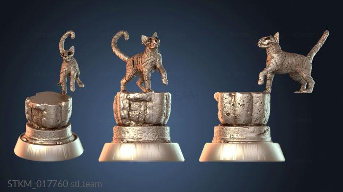 Статуэтки герои, монстры и демоны Buried Tomb Mr. Snuggles