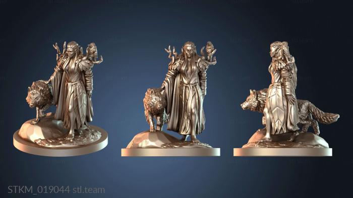 Статуэтки герои, монстры и демоны Forest Druid Whisperer Wolf Companion Howler