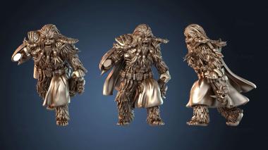 3D model Mandalorians Wooki Bold (STL)