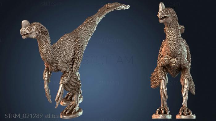 Oviraptor Arm