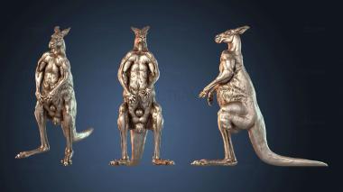 3D model Red Kangaroo Jack Male Stand (STL)