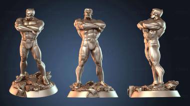 3D model Steelwill Reference (STL)