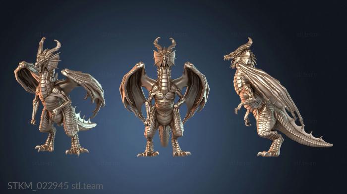 Wisdom Dragon