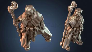 3D model Wizard Arcane (STL)