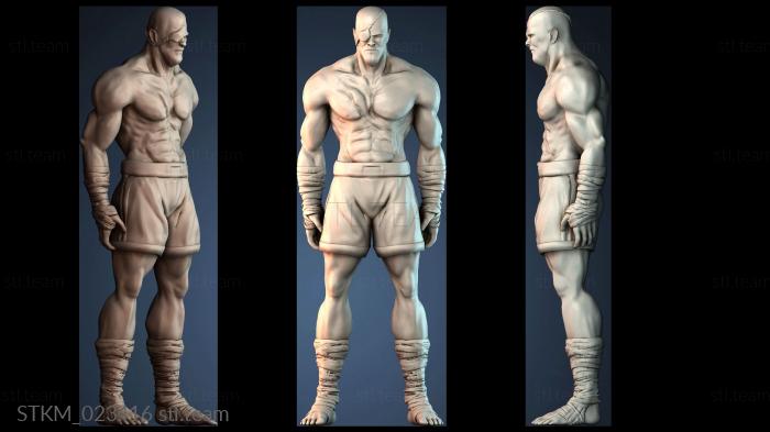 Статуэтки герои, монстры и демоны Mr Sagat