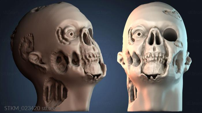 Статуэтки герои, монстры и демоны Zombie pen holder - head