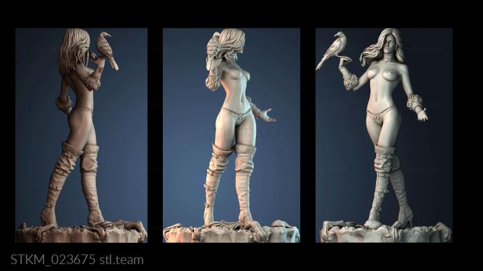 Статуэтки герои, монстры и демоны Yennefer and the Raven