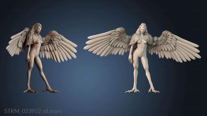 Harpy