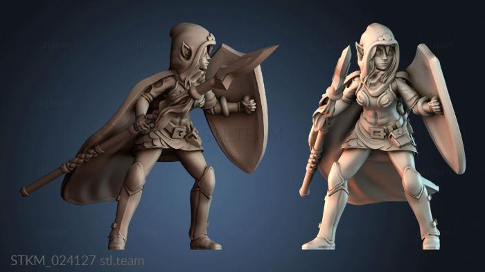 Эльфийский воин