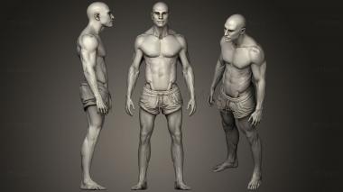 3D model Different Heights of Human Body (STL)