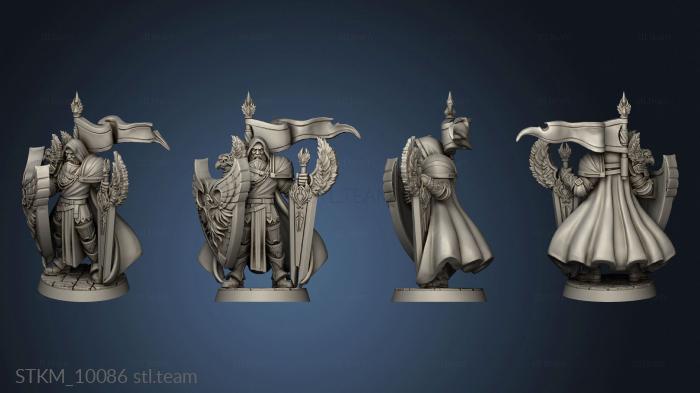 3D model The Royal Guard Grimvald (STL)