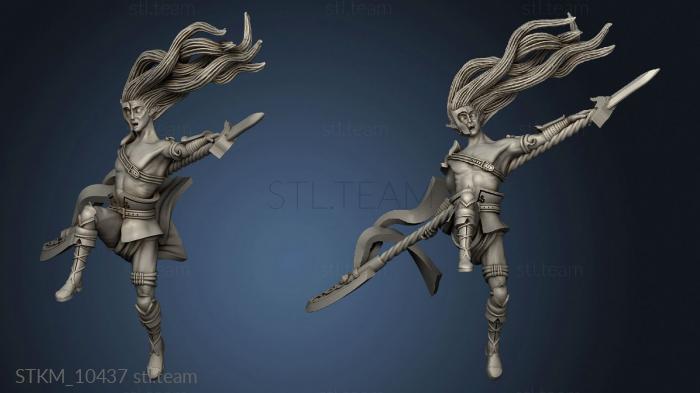 3D model WARDANCERS (STL)