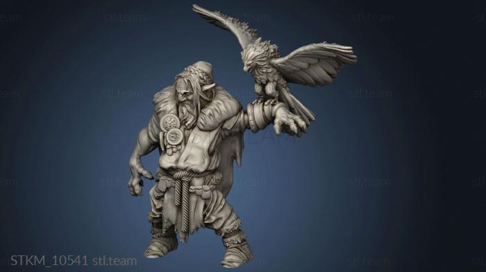 3D model Firbolgs Firbolg Druid (STL)