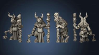 3D model Beastmen Shaman (STL)