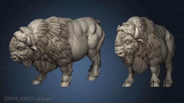 3D модель Американские буйволы buffalo (STL)