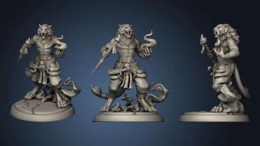 3D model Tabaxi Set (STL)