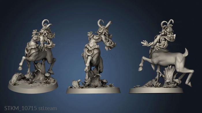 3D model Centaurs centaur druid (STL)