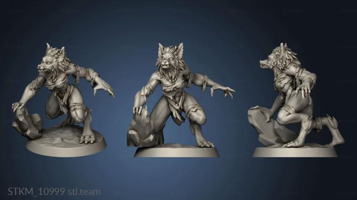 Werewolf Hunters Wolf