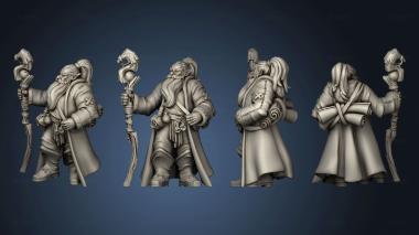 3D model Wizard Guild Hero (STL)