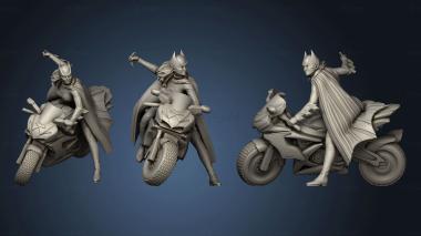 3D model Batgirl on Bike clothes (STL)