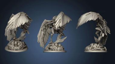 3D model Aarakocra Harpy (STL)