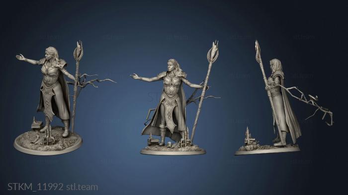 3D model Arcanum Akara The Sorceress (STL)