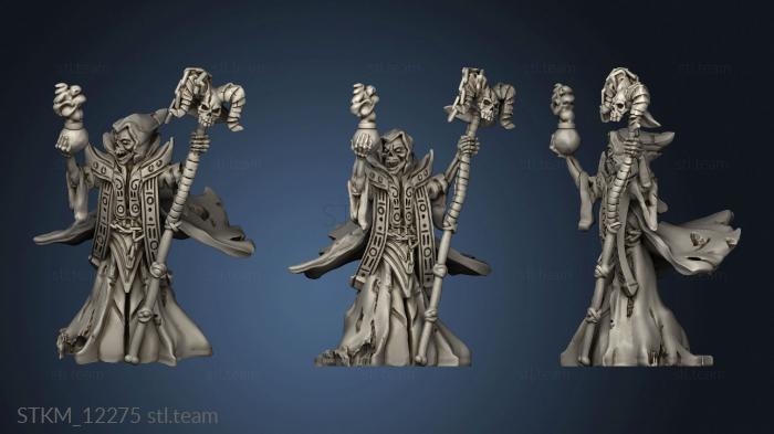 3D model Brayan Nafarrate Bestiary Lich (STL)