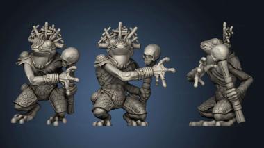 3D model Cruel Marshes Poison Frog Shaman (STL)