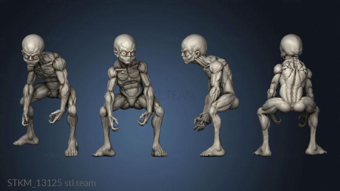 3D модель STKM_13125 (STL)