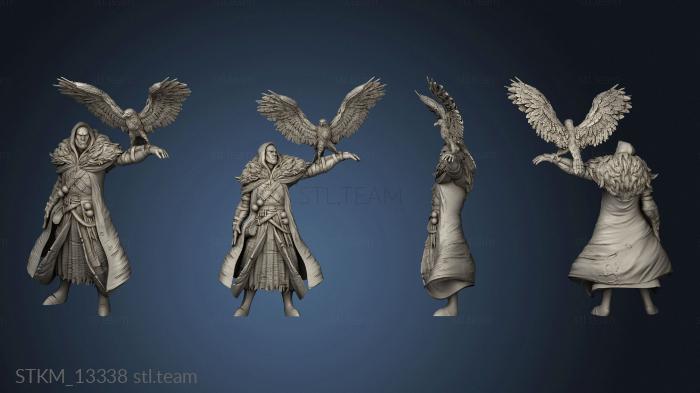 3D model Fey Woods Half Witch Hunter Falcon (STL)