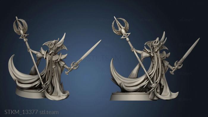 3D model Elevation Grand Master Mage (STL)