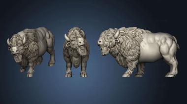 3D model american buffalos buffalo (STL)