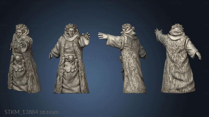 3D model Graeae Witches Grey Witch (STL)