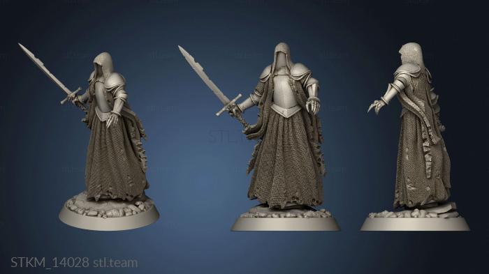 3D model Sorrowsworn Baron Soldiers The Wraith Swordsman Lv (STL)