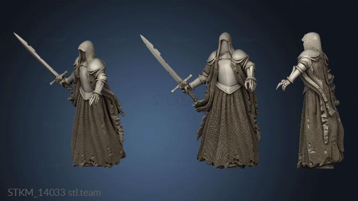 3D model Sorrowsown Baron s Soldiers The Wraith Swordsman Lv (STL)