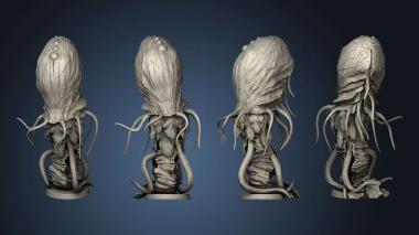 3D model Jellyfish (STL)