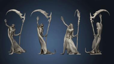 3D model Wraith Kings Servant (STL)