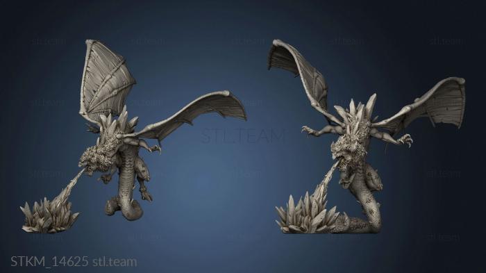 3D model Friends Truong Rox The White Dragon (STL)