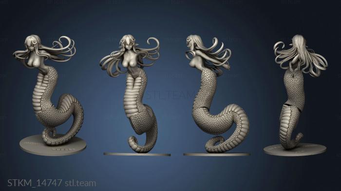 3D model Monster Miia NSFW back Hair (STL)