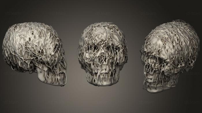 3D model Skull and roots printable (STL)