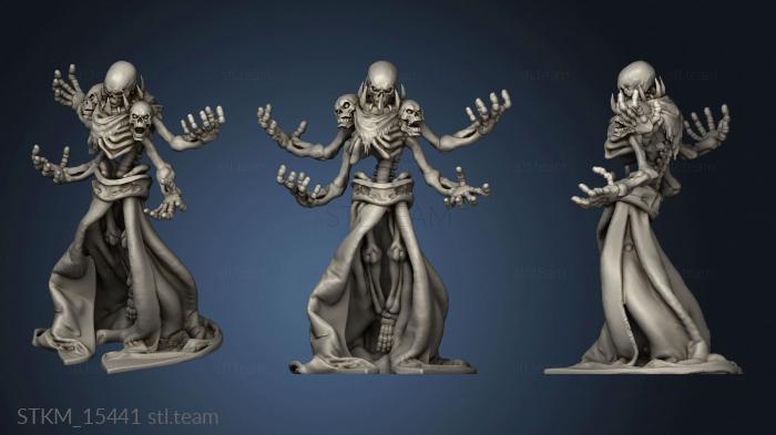 3D model Skeletons Amini Skeleton (STL)