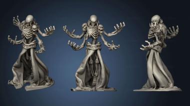 3D model Skeletons Amini Skeleton (STL)