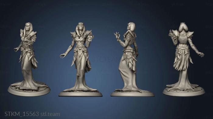 3D model The Infinity and Void Ancient Priestess PRE (STL)