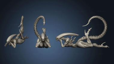 3D model Aliens XENO VIXEN BROOD DREAMER (STL)