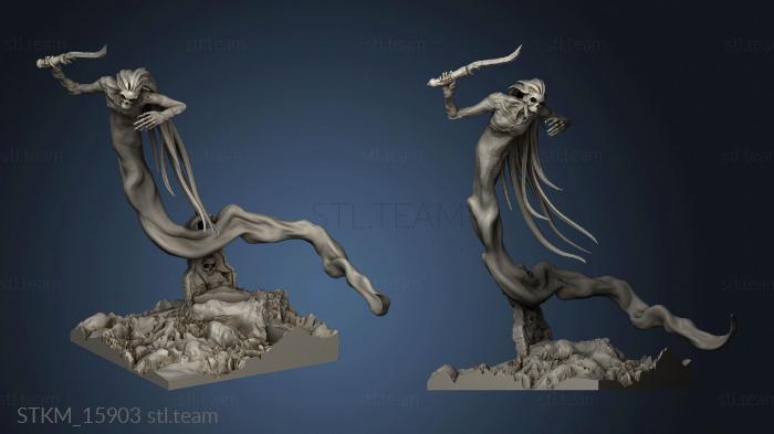 3D model Wraith Kings Spirits the Crypt Spirit (STL)