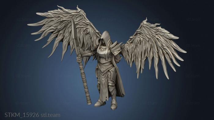 Sicorra Aasimar Paladin Wings Hood