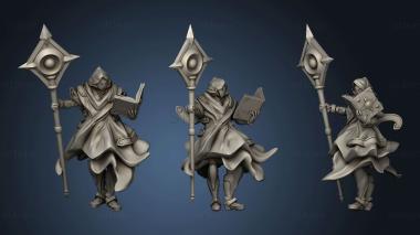 3D model Allorin Knight Mage (STL)