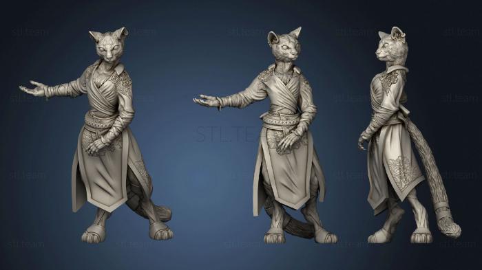 Amalya Tabaxi Monk